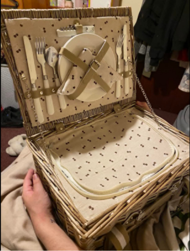 Pinti pikniko krepšys su dangčiu ir izoliacija, nešiojamas modelis XY-CL-050, apkrova iki 15 kg.