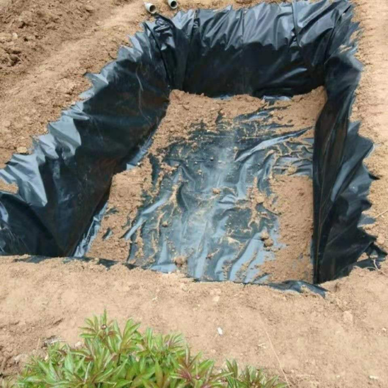 Tvenkinio membrana 13S – prieš uodus ir nutekėjimą, prieš senėjimą, šalčiui atspari PE membrana (Prekės ženklas Charm; Modelis 13S)