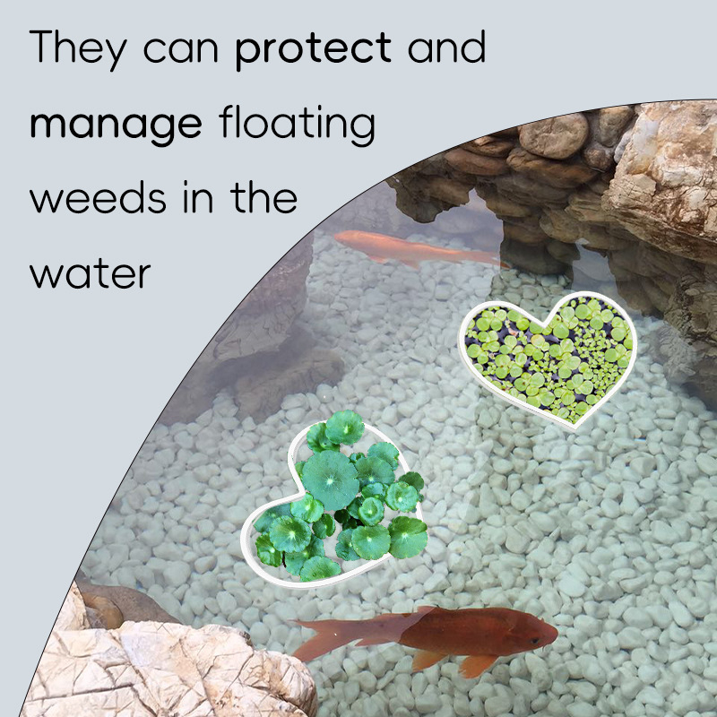 Akrilinė plūduriuojanti Betta maitinimo žiedas su augalų siena, širdies formos