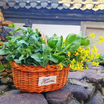 Плетена кошница за пикник с дръжка | материали: върба/слама | за плодове, зеленчуци и пазаруване | модели: голям, малък, поднос | стил: модерен минимализъм