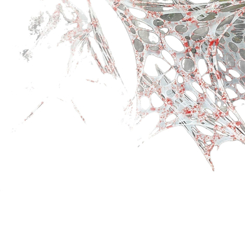 Διακοσμητικό Χάλοουιν για διαμόρφωση σκηνής – ελαστικό ύφασμα με κηλίδες αίματος και ιστό αράχνης για εξωτερική αυλή (Τύπος: διακοσμητικά για διαμόρφωση χώρου; Κατηγορία: κρεμαστά διακοσμητικά; Στυλ: Χάλογουιν; Ισχύουσες γιορτές: Χάλογουιν, Πάσχα)