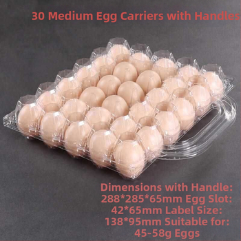 Ръчно преносима пластмасова кутия за яйца с прозрачно блистерно опаковане