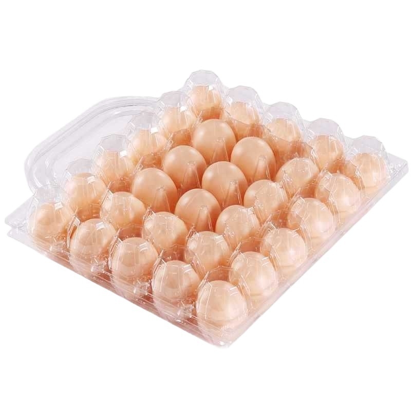 Ръчно преносима пластмасова кутия за яйца с прозрачно блистерно опаковане