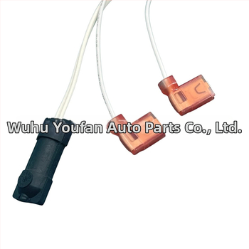 RV šaldytuvo termistorinės surinkos keitimas, modelis 618548