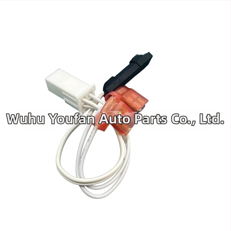 RV šaldytuvo termistorinės surinkos keitimas, modelis 618548