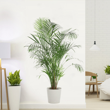 Αυτοκόλλητο τοίχου PVC με μοτίβο φυτών, αδιάβροχο και αυτοκόλλητο, για σαλόνι, υπνοδωμάτιο και είσοδο.