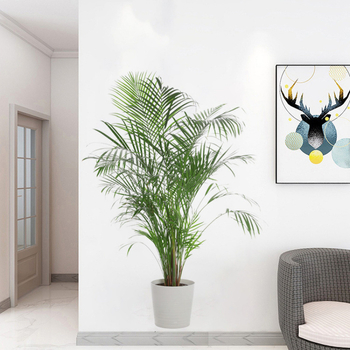 Αυτοκόλλητο τοίχου PVC με μοτίβο φυτών, αδιάβροχο και αυτοκόλλητο, για σαλόνι, υπνοδωμάτιο και είσοδο.