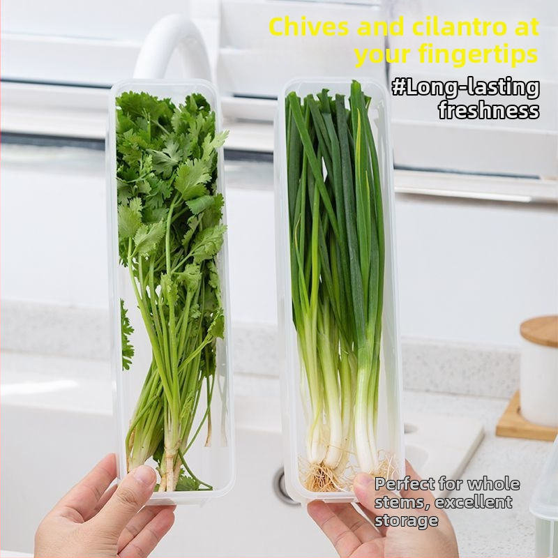 Кутия за съхранение в хладилник за кориандър и зелен лук — Nordic стил, сребърен метал, нестандартна форма