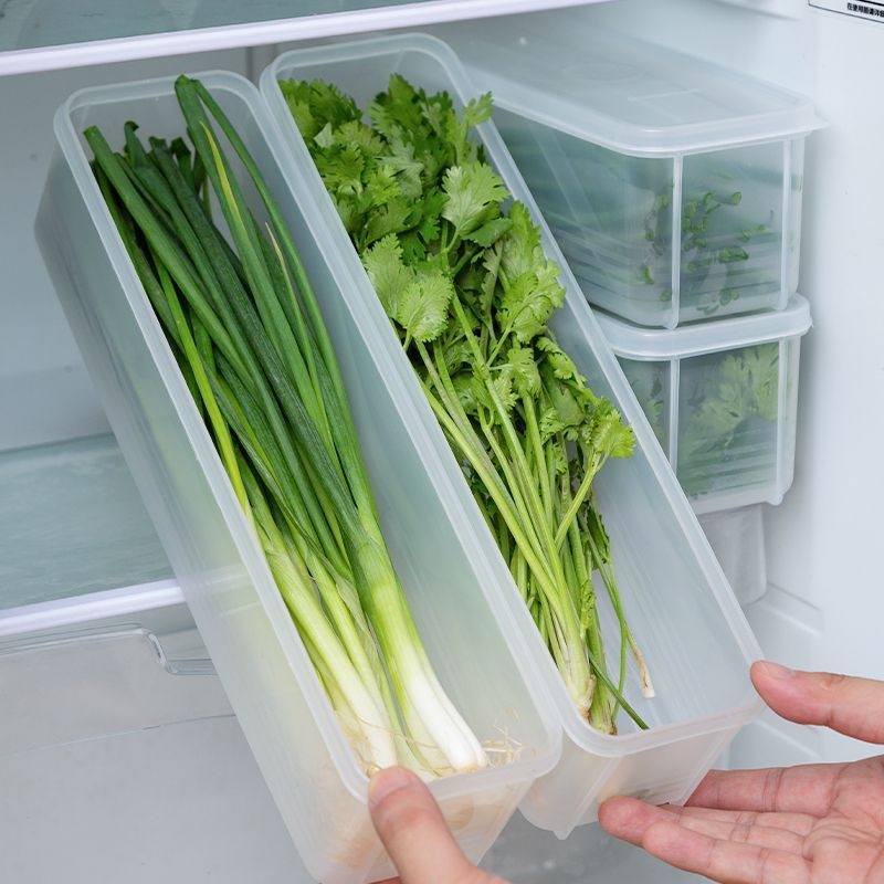 Šaldytuvo laikymo dėžutė kalendrai ir žaliesiems svogūnams — šiaurietiškas stilius, sidabro spalvos metalas, neįprasta forma