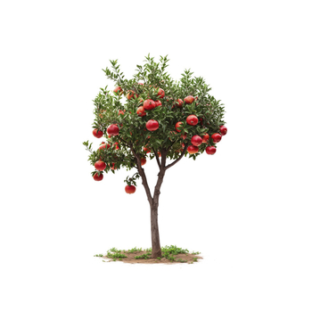 Διακοσμητικό αυτοκόλλητο τοίχου με δέντρο ροδιού και πράσινα φυτά (Υλικό: PVC; Αδιάβροχο; Μοτίβο: φυτικά στοιχεία; Κατάλληλο για σαλόνι, υπνοδωμάτιο, μελέτη)