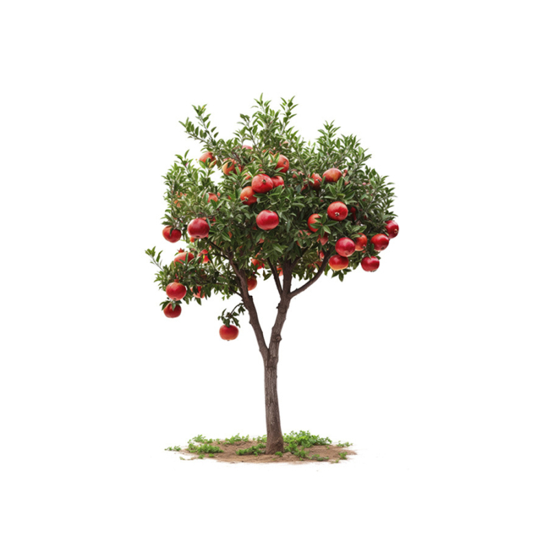 Dekoratív falmatrica – gránátfa és zöld növények (Anyag: PVC; Funkció: vízálló, dekoratív; Motívum: növényi; Helyszín: nappali, hálószoba, dolgozószoba)