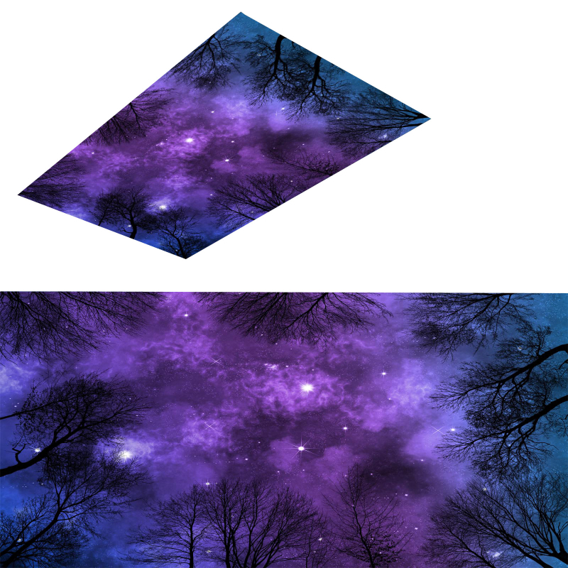 Forest Galaxy υφασμάτινο σκιάστρο λαμπτήρα - Μοντέλο 088138XY, Υλικό: Ύφασμα, Πάχος: 0.09, Προέλευση: Jingjiang