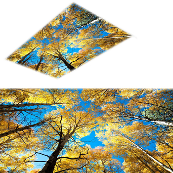 Υφασμάτινη σκιά λαμπτήρα, μοντέλο 088138XY, ύφασμα, πάχος 0.09, σχέδιο προστασίας ματιών