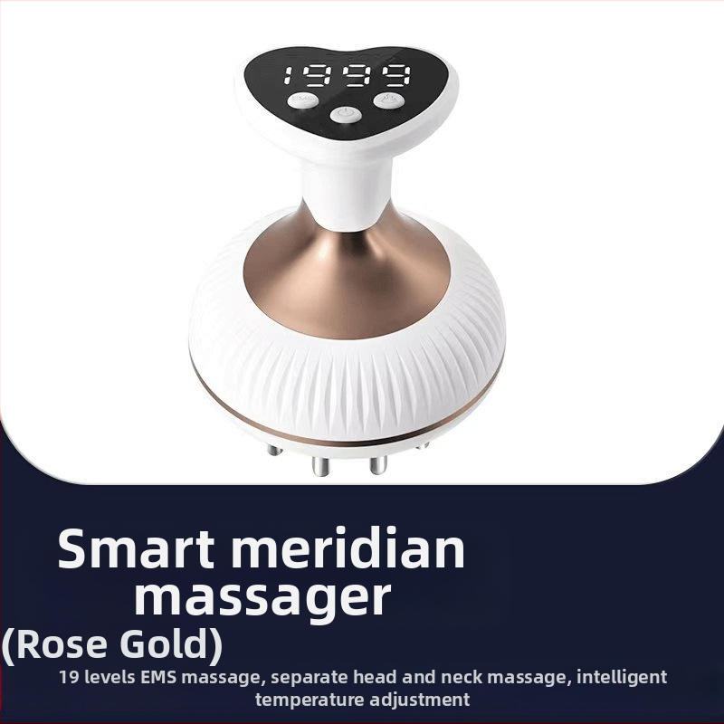 X1009 Nešiojamas elektrinės meridijanos masažas visam kūnui, įkraunamas, temperatūros kontrolė 55°C, be pakopų greitis, ABS korpusas, 1200mAh baterija