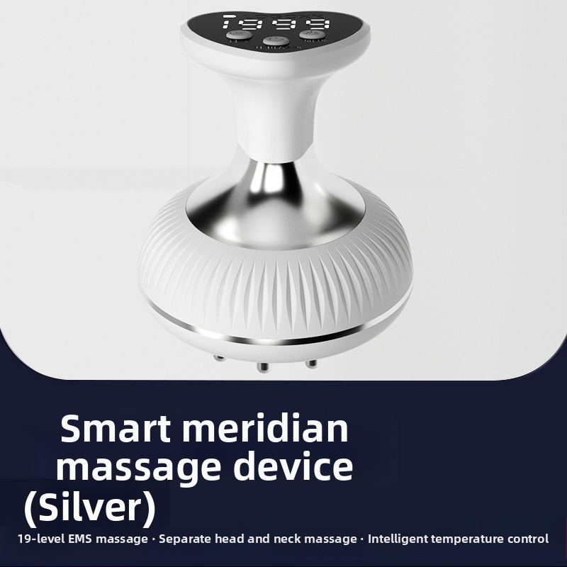 X1009 Nešiojamas elektrinės meridijanos masažas visam kūnui, įkraunamas, temperatūros kontrolė 55°C, be pakopų greitis, ABS korpusas, 1200mAh baterija