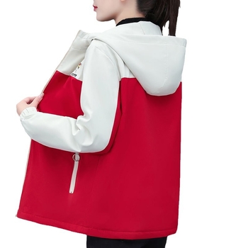 Παλτό με κουκούλα, χοντρό ύφασμα, φερμουάρ, μίγμα βισκόζη/πολυεστέρα 95%+, ευρεία γραμμή — Χειμώνας 2024