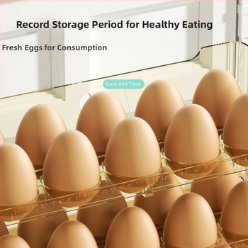 Kiaušinių laikymo dėžutė šaldytuvo šoninėms durims, Nordic stilius, Medžiaga: Metalas, Forma: Kita