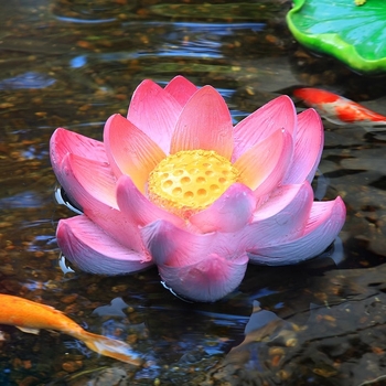 Műgyanta lebegő víz dekoráció lótuszlevél és béka motívummal, kerthez, tavakhoz és erkélyhez (Márka: Green Paper; Anyag: Gyanta; Stílus: Pastoral; Kivitelezés: Gravírozás)