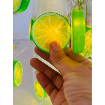 Χριστουγεννιάτικα LED σκοινώδη φώτα διακόσμησης για λουλούδια, τούρτες και δώρα – ηλιακή τροφοδοσία, 110V, χειροκίνητος διακόπτης