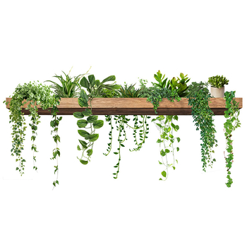 Τοίχου αυτοκόλλητο PVC αδιάβροχο με μοτίβο φυτών, 1 τεμάχιο, κατάλληλο για σαλόνι, υπνοδωμάτιο, γραφείο, εστιατόριο, μπάνιο και είσοδο — μοντέρνο μινιμαλιστικό στυλ