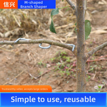 Συσκευή έλξης κλάδων φρούτων τύπου Μ, κράτηση και διαμόρφωση κλάδων, με γαλβανισμένο χάλυβα σύρμα