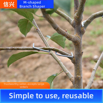 Συσκευή έλξης κλάδων φρούτων τύπου Μ, κράτηση και διαμόρφωση κλάδων, με γαλβανισμένο χάλυβα σύρμα