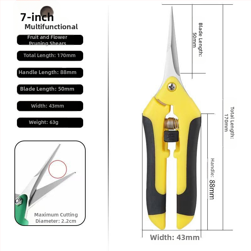 Rezač hrozna, nerezová oceľ, multifunkčné záhradné nožnice na kvety, ovocie a zeleninu