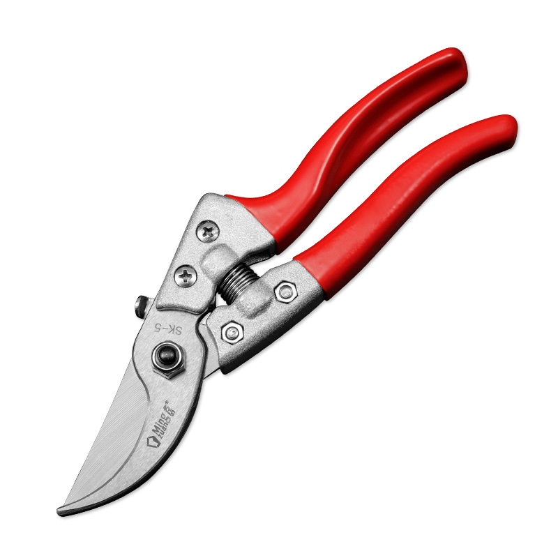 Ανοξείδωτα κλαδευτικά ψαλίδια κήπου για κλάδεμα λουλουδιών και συγκομιδή φρούτων και λαχανικών; Μάρκα Diligent hair