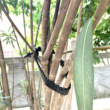 Ενισχυμένη ταινία στήριξης φυτών για θάμνους, τριαντάφυλλα και αμπέλια (Πλαστικό; Σετ τριών τεμαχίων; Οικιακή κηπουρική, αυλή, οπωρώνας)