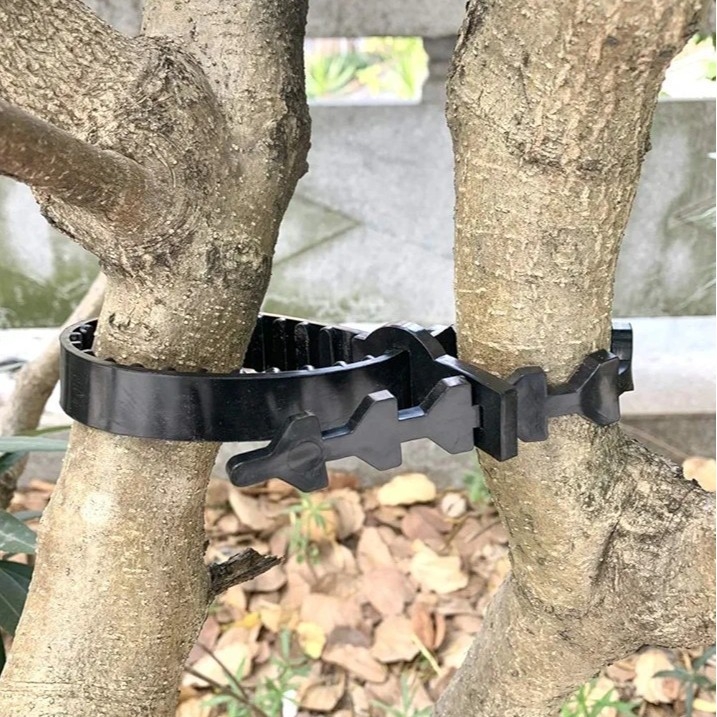 Teška traka za podršku biljaka za grm, ružu i lozu (plastika; tri komada; kućno vrtlarenje, dvorište)
