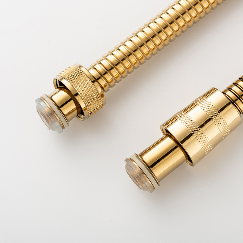 Dušo žarna iš nerūdijančio plieno su titano danga, modelis Titanium Encryption 001, pasukamas montavimas, markė Xuke, stilius Light Luxury