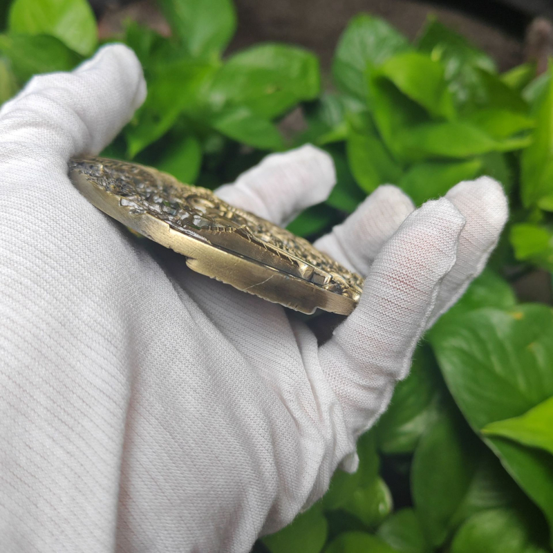 Maya 3D lydinio atminimo moneta – 3D reljefas, Tinka kaip verslo dovana, IP leidimas: Ne