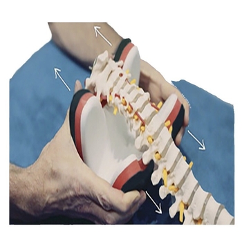 Μαξιλάρι μασάζ αυχένα με έλξη και ορθωτικό – XMG μοντέλο 445345, πολυαιθυλένιο, συσκευασία 60, μασάζ υγείας