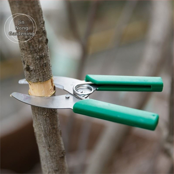 Ψαλίδια Κοπής Δαχτυλιδιών – Κοπτικό Δαχτυλίδι για Αμπέλια, Κλάδους και Φρούτα Δέντρων – Pride surplus; Υλικό: Άλλο; Εισαγωγή: Όχι