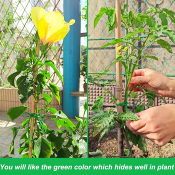 Κηπευτικό κάνναβης πλεγμένο σκοινί για φυτά