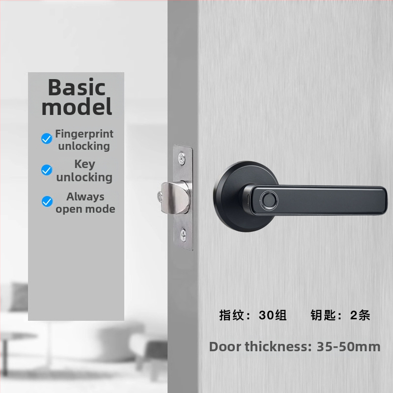 Vidaus piršto atspaudo elektroninis spynos medinėms durims, su slaptažodžiu, sferinė rankenėlė, modelis 130/190, DC maitinimas