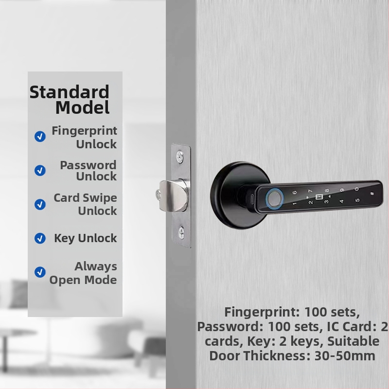 Vidaus piršto atspaudo elektroninis spynos medinėms durims, su slaptažodžiu, sferinė rankenėlė, modelis 130/190, DC maitinimas