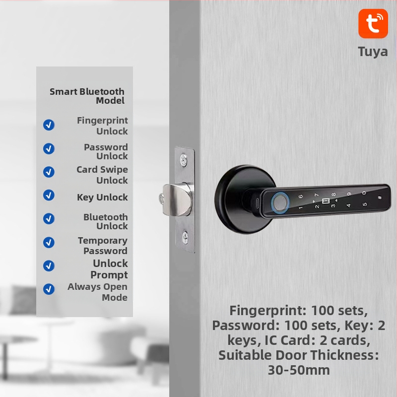 Vidaus piršto atspaudo elektroninis spynos medinėms durims, su slaptažodžiu, sferinė rankenėlė, modelis 130/190, DC maitinimas