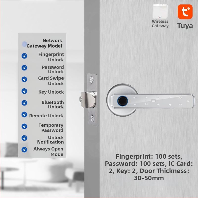 Vidaus piršto atspaudo elektroninis spynos medinėms durims, su slaptažodžiu, sferinė rankenėlė, modelis 130/190, DC maitinimas