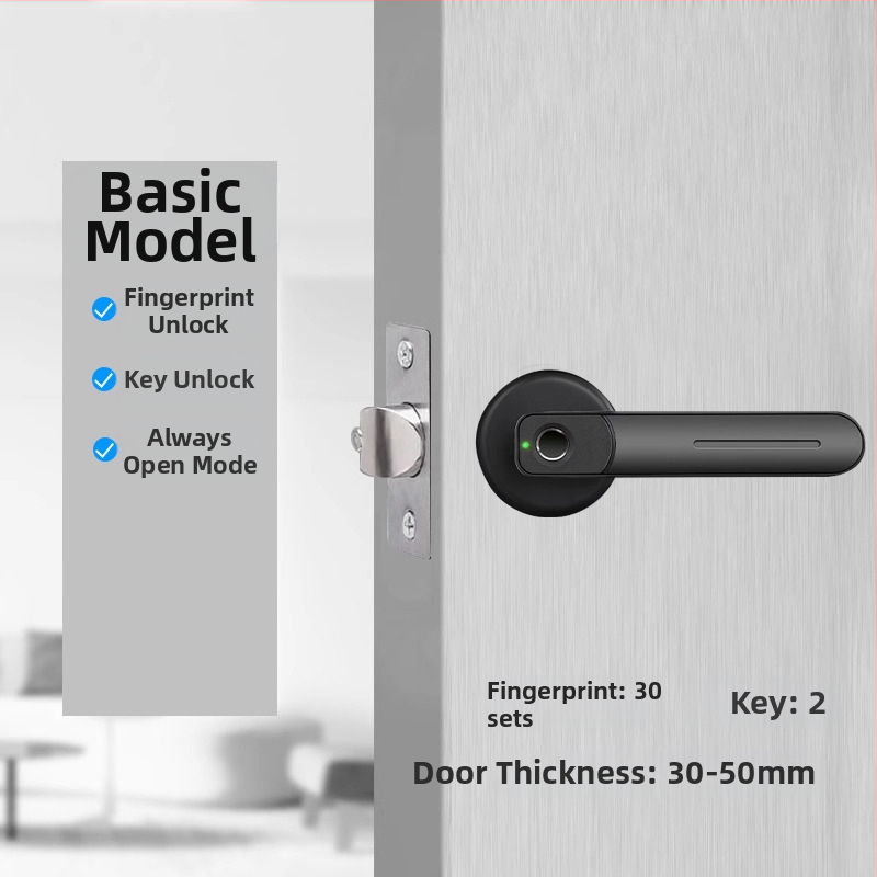 Vidaus piršto atspaudo elektroninis spynos medinėms durims, su slaptažodžiu, sferinė rankenėlė, modelis 130/190, DC maitinimas