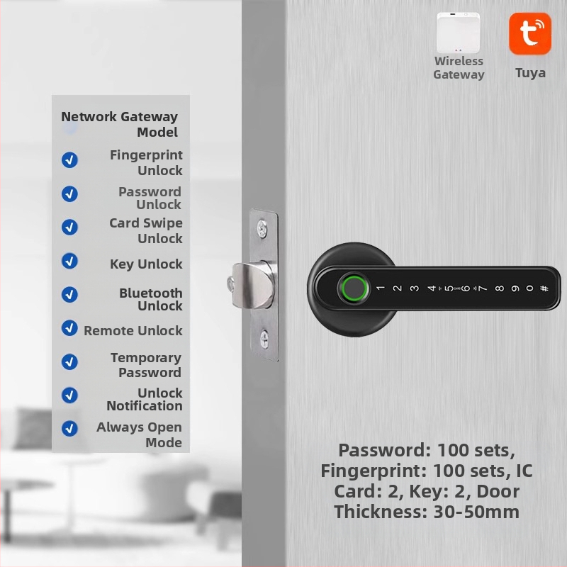 Vidaus piršto atspaudo elektroninis spynos medinėms durims, su slaptažodžiu, sferinė rankenėlė, modelis 130/190, DC maitinimas