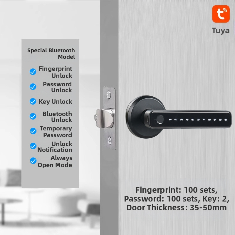 Vidaus piršto atspaudo elektroninis spynos medinėms durims, su slaptažodžiu, sferinė rankenėlė, modelis 130/190, DC maitinimas