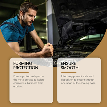 RAYHONG Προστατευτικό πρόσθετο συστήματος ψύξης αυτοκινήτου – Υγρό κατά της διάβρωσης και κατά της ασβέστωσης του ψύκτη κινητήρα, συσκευασία 100 τεμάχια