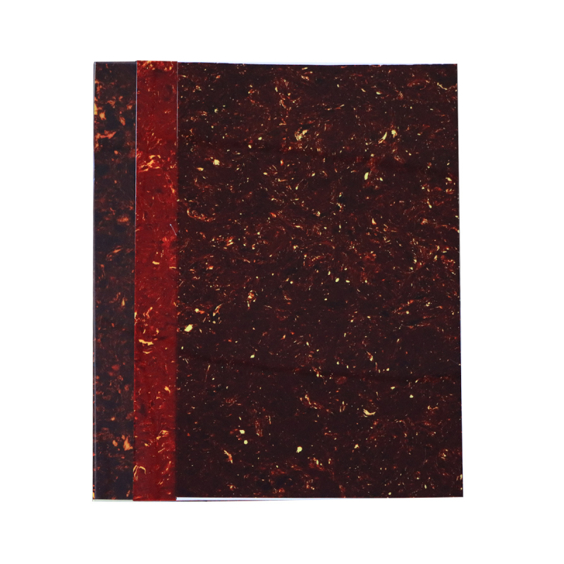 Πικγκάρντ για ηλεκτρική κιθάρα – πλαστικό – Μοντέλο YT22-CA – INTAI – για μουσικά όργανα