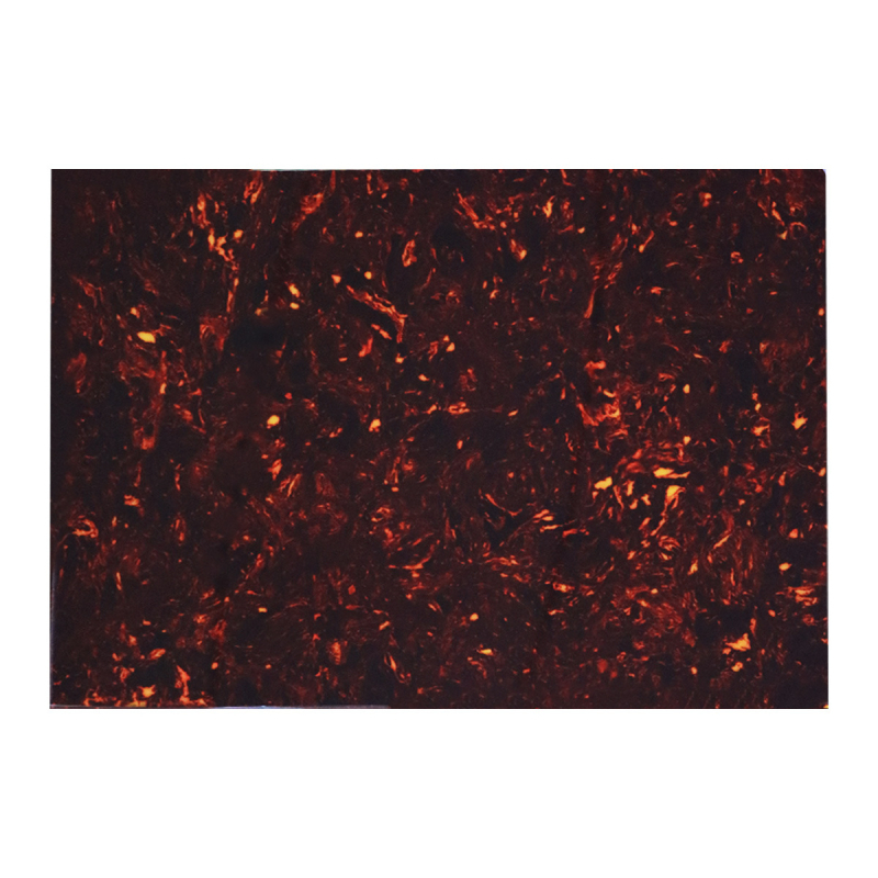 Πικγκάρντ για ηλεκτρική κιθάρα – πλαστικό – Μοντέλο YT22-CA – INTAI – για μουσικά όργανα