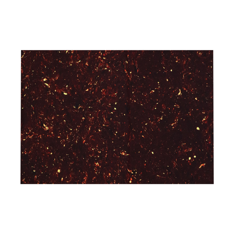 Πικγκάρντ για ηλεκτρική κιθάρα – πλαστικό – Μοντέλο YT22-CA – INTAI – για μουσικά όργανα