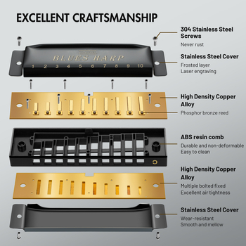 Хармоника WH1001S — 10 отвора, капак от неръждаема стомана