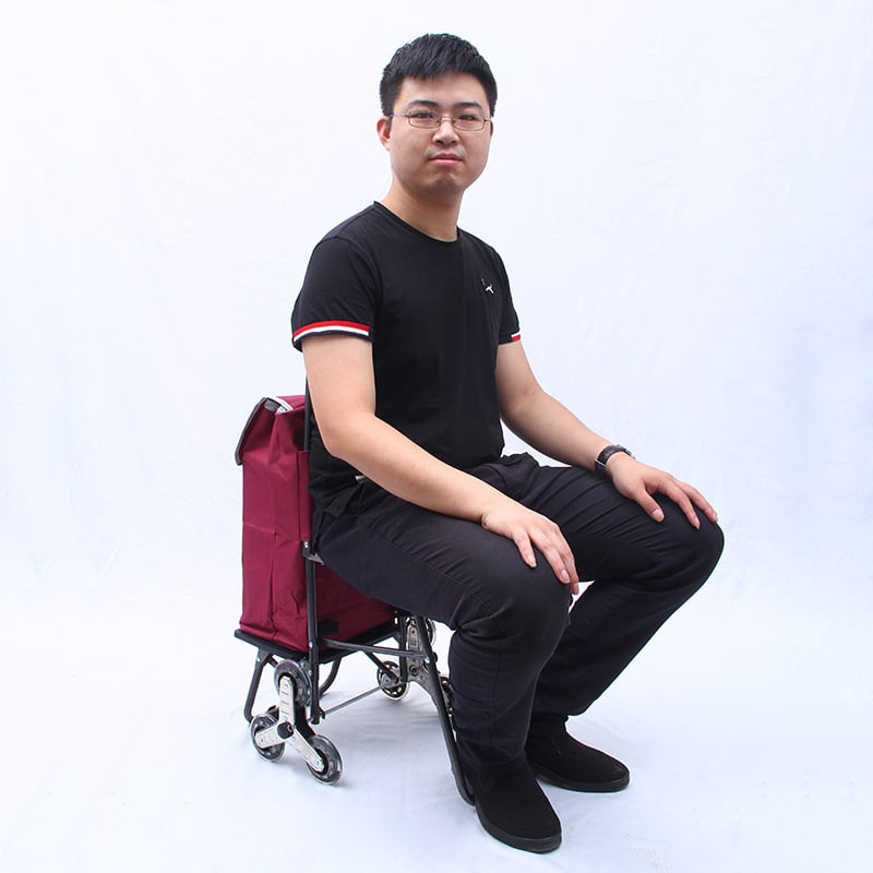 Αναδιπλούμενο καρότσι αγορών με τρίγωνους τροχούς – αλουμινένιο κράμα, μέγιστο φορτίο 25 kg, κινητό, μοντέρνο μινιμαλιστικό στυλ