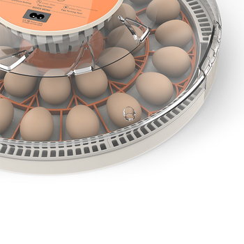 WONEGG Incubator pentru ouă de pui, complet automat, pentru uz casnic, control inteligent al temperaturii și umidității cu afișaj dual