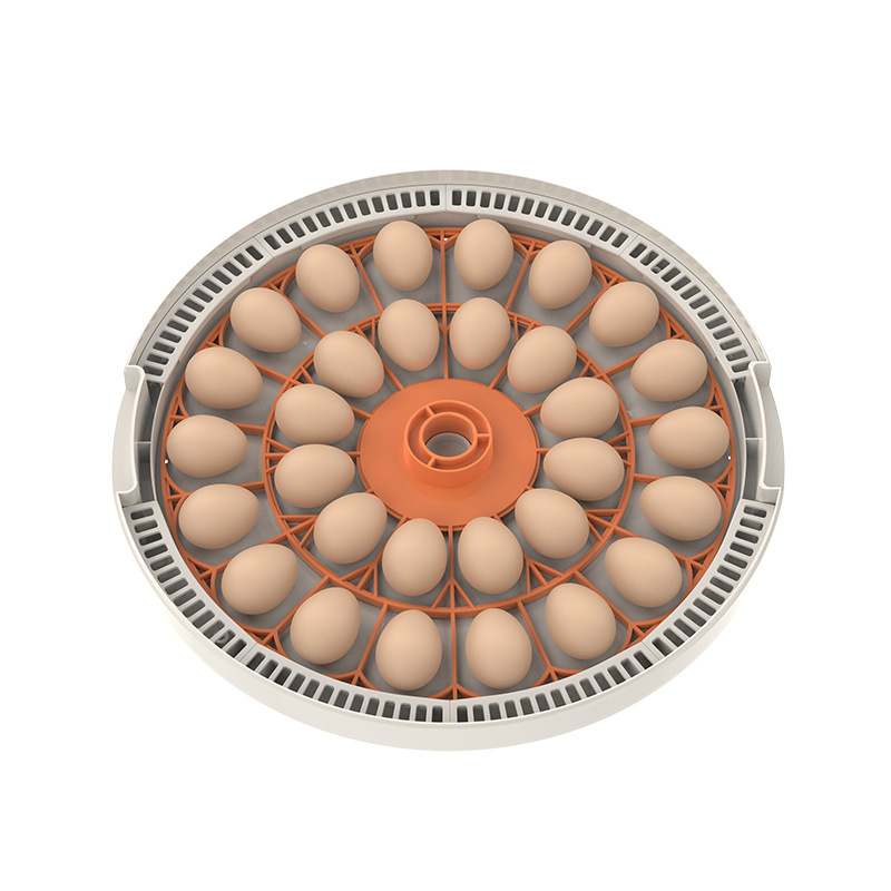 WONEGG Incubator pentru ouă de pui, complet automat, pentru uz casnic, control inteligent al temperaturii și umidității cu afișaj dual